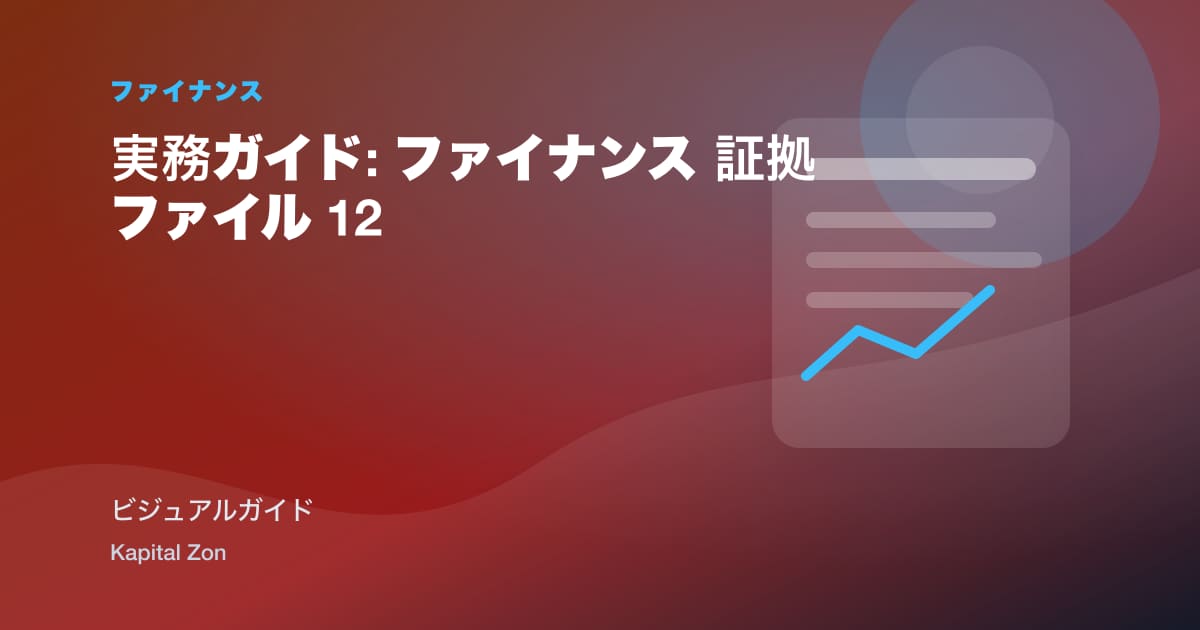 実務ガイド: ファイナンス 証拠ファイル 12