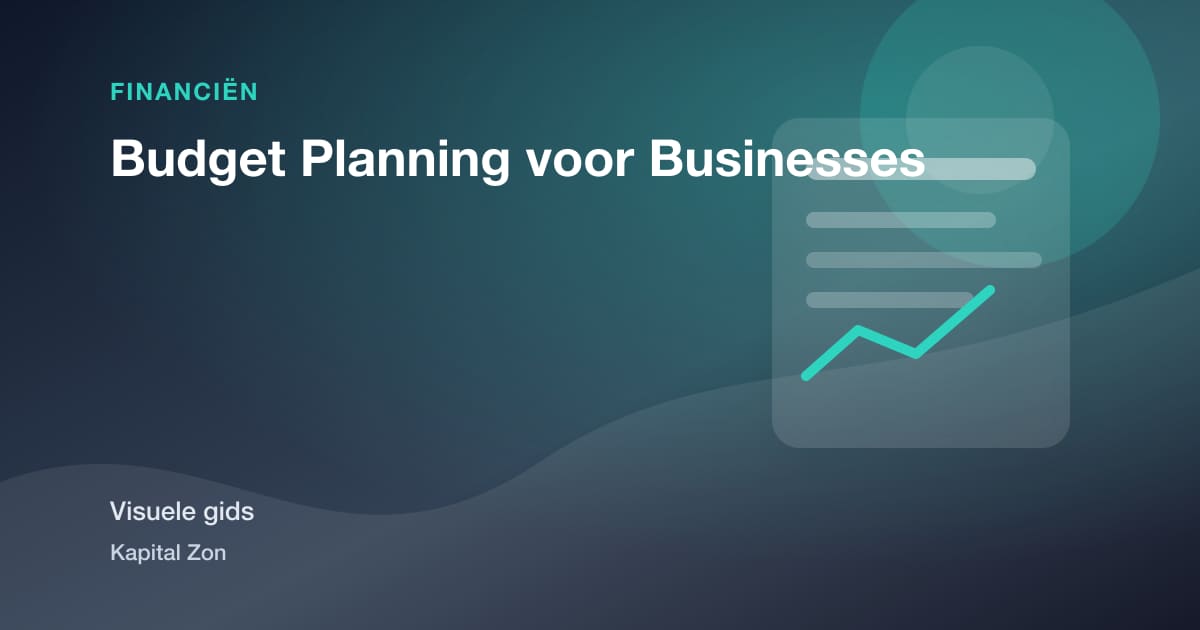 Budget Planning voor Businesses