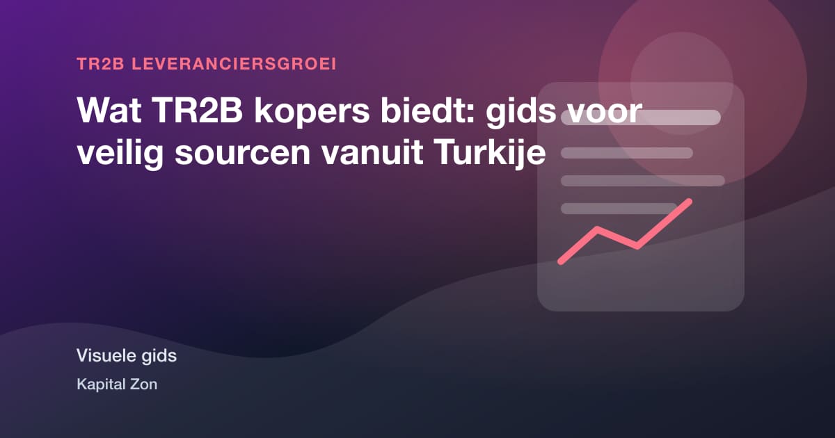 Wat TR2B kopers biedt: gids voor veilig sourcen vanuit Turkije