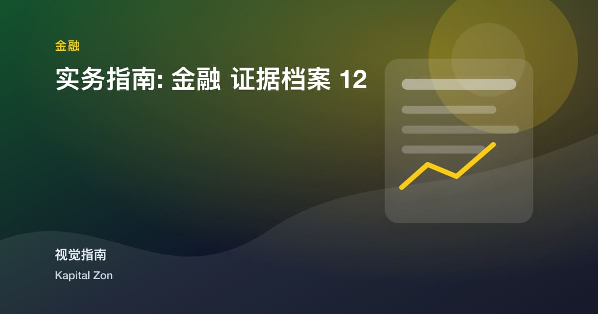 实务指南: 金融 证据档案 12